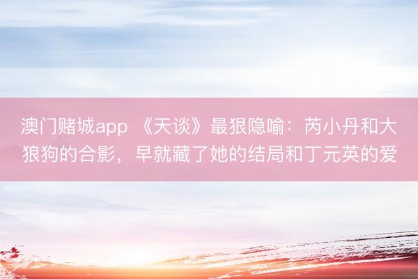 澳门赌城app 《天谈》最狠隐喻：芮小丹和大狼狗的合影，早就藏了她的结局和丁元英的爱