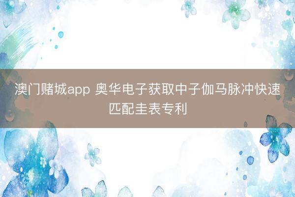 澳门赌城app 奥华电子获取中子伽马脉冲快速匹配圭表专利