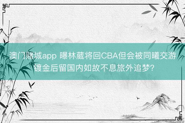 澳门赌城app 曝林葳将回CBA但会被同曦交游 镀金后留国内如故不息旅外追梦?